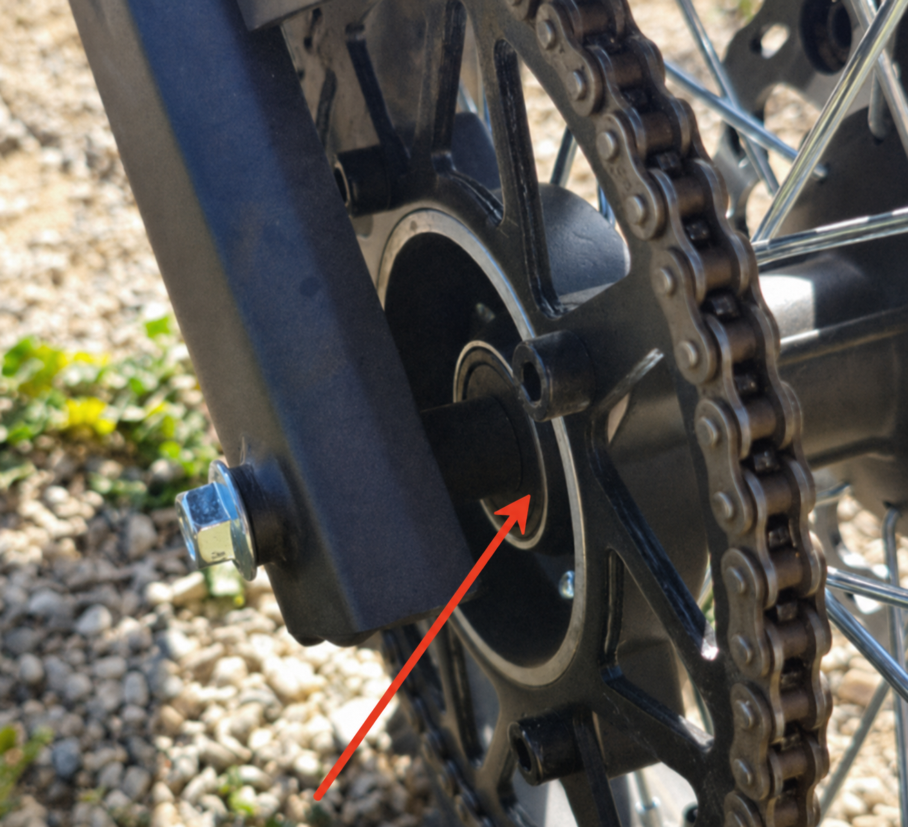 isinwheel Freewheel For Monster