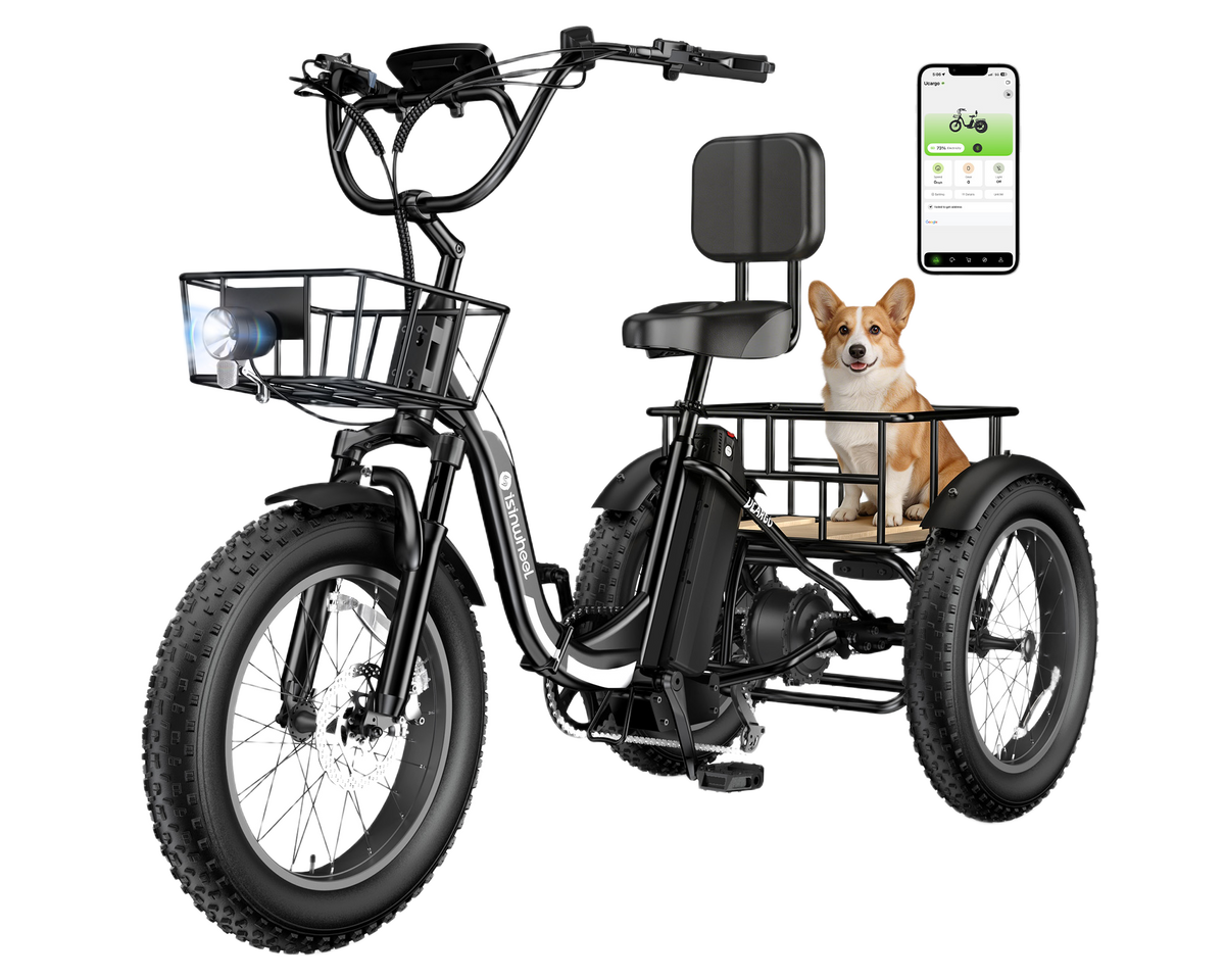 isinwheel Ucargo Electric Tricycle