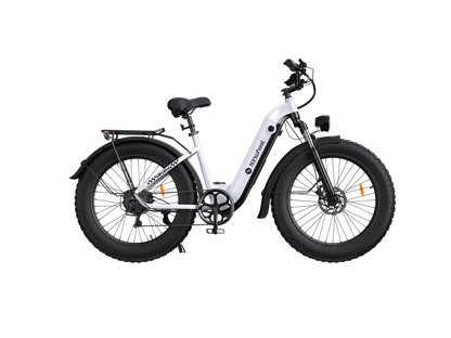 isinwheel U8 Ultra Electric Bike for Adults