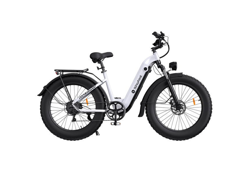 isinwheel U8 Ultra Electric Dirt Ebike Combo