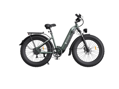 isinwheel U8 Ultra Electric Bike for Adults