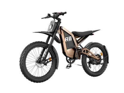 isinwheel R8 3000W