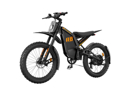 isinwheel R8 3000W