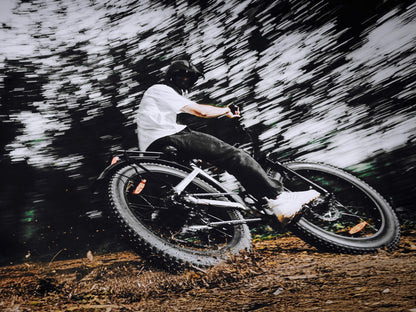 isinwheel U8 Ultra Electric Bike