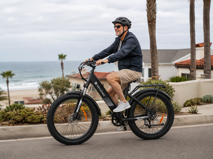 isinwheel M60 750W All-terrain Electric Bike