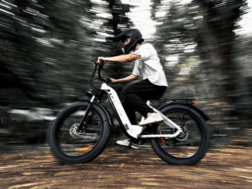isinwheel U8 Ultra Electric Dirt Ebike Combo