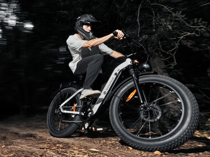 isinwheel U8 Ultra Electric Bike for Adults