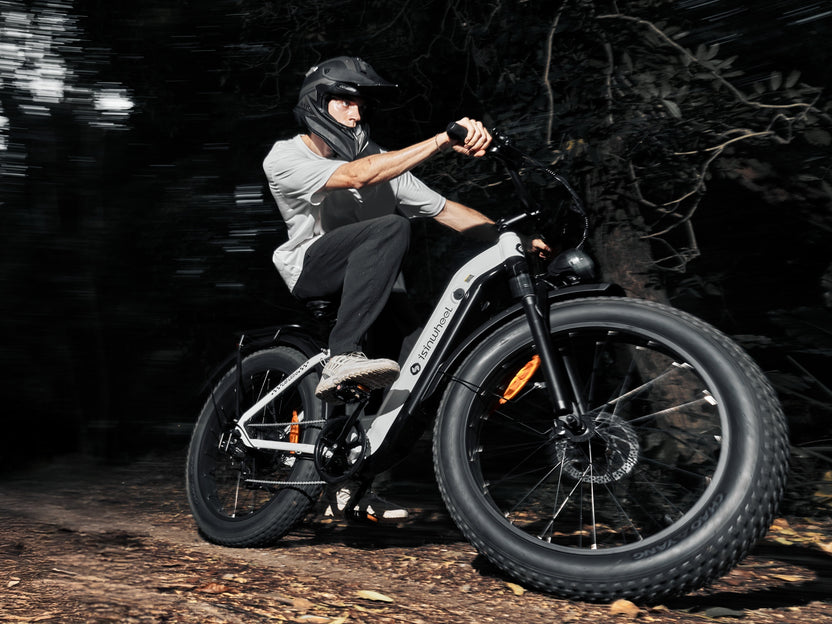 isinwheel U8 Ultra Electric Dirt Ebike Combo