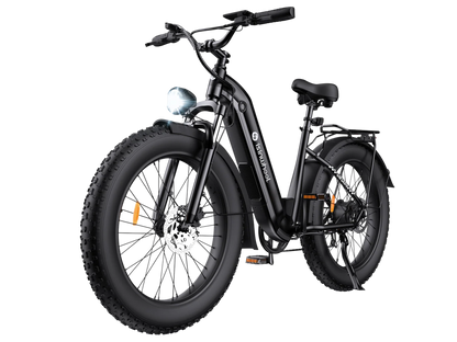 isinwheel U8 Ultra Electric Bike for Adults