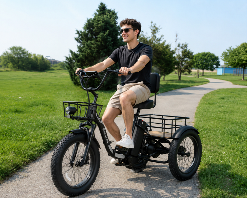 isinwheel Ucargo Electric Tricycle