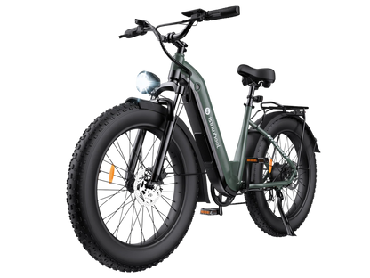 isinwheel U8 Ultra Electric Bike for Adults