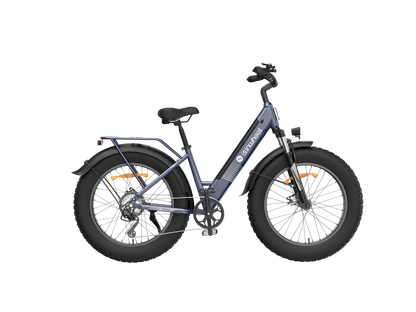 isinwheel M60 750W All-terrain Electric Bike