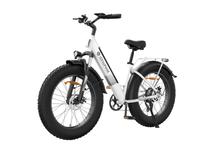 isinwheel M60 750W All-terrain Electric Bike