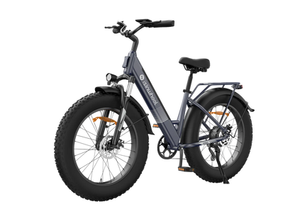isinwheel M60 750W All-terrain Electric Bike