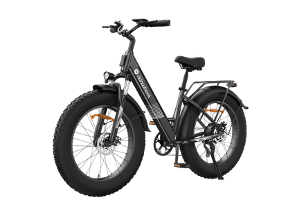 isinwheel M60 750W All-terrain Electric Bike