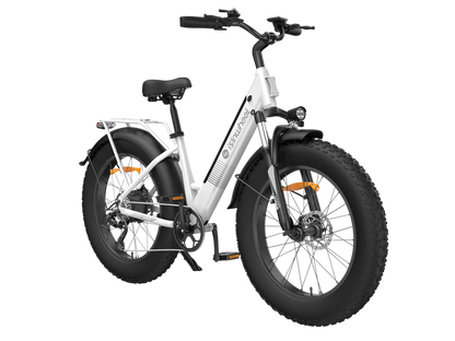 isinwheel M60 750W All-terrain Electric Bike