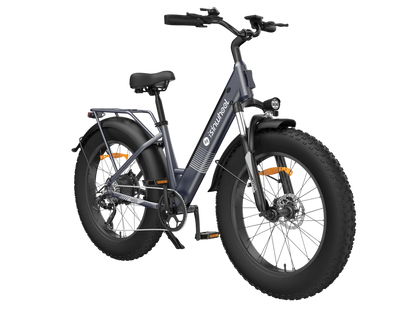 isinwheel M60 750W All-terrain Electric Bike