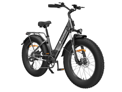 isinwheel M60 750W All-terrain Electric Bike