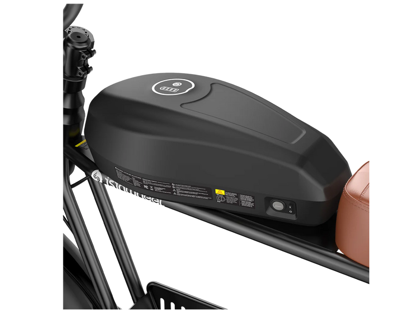 isinwheel R6 Pro Electric Dirt Ebike Combo