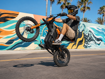 isinwheel Monster Electric Dirt Bike