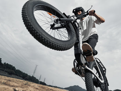 isinwheel U8 Ultra Electric Bike for Adults