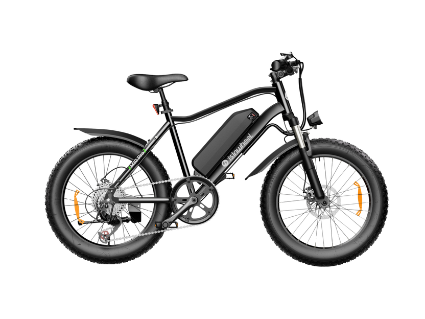 isinwheel M10Pro Fat Tire Electric Bike