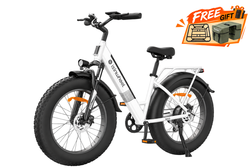 isinwheel M60 All-terrain Electric Bike