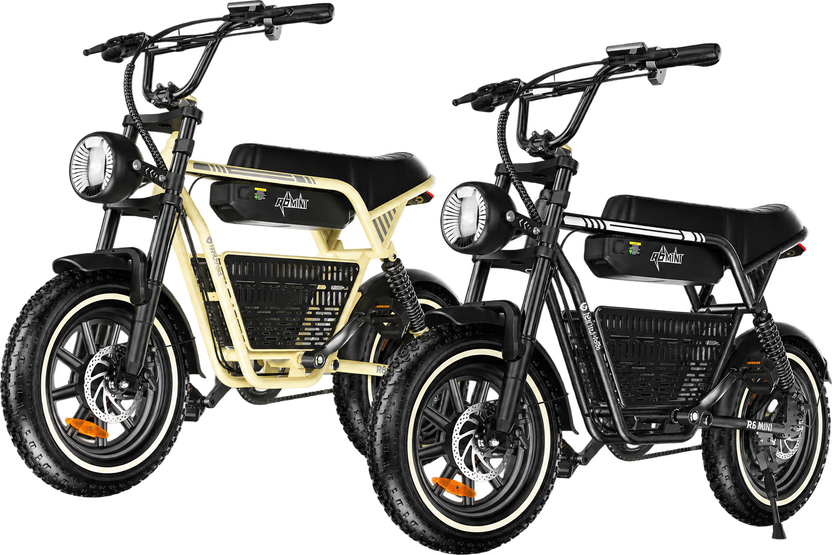 isinwheel R6 Mini Electric Dirt Ebike Combo