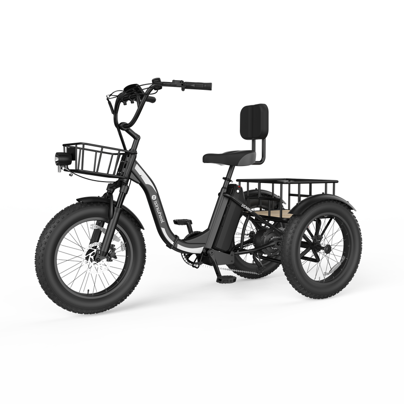 isinwheel Ucargo Electric Tricycle