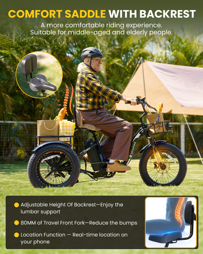 isinwheel Ucargo Electric Tricycle