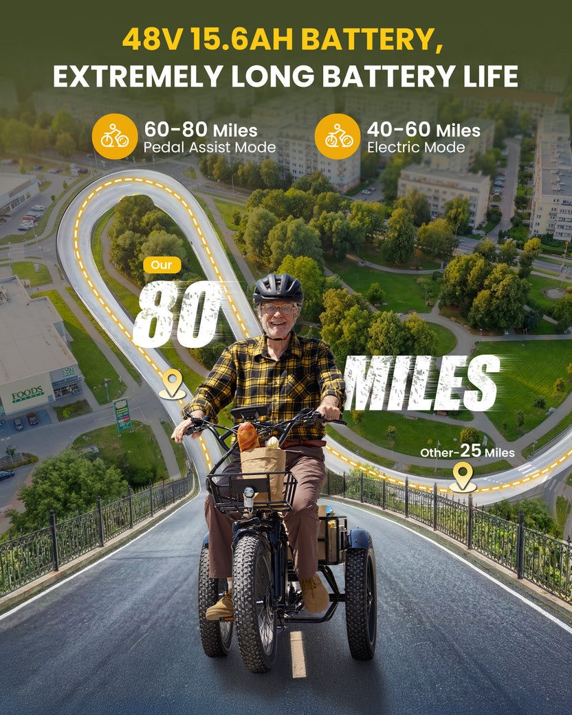 isinwheel Ucargo Electric Tricycle