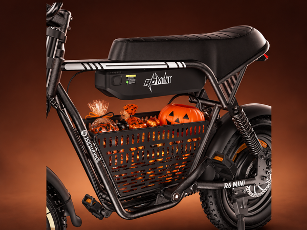 Free Storage Basket