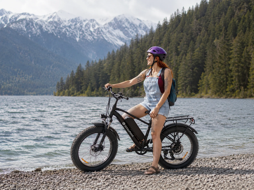 isinwheel M10Pro Fat Tire Electric Bike